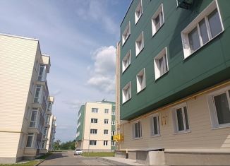 Продается однокомнатная квартира, 51.5 м2, деревня Болтино, улица Баздырева, 5, ЖК Болтино
