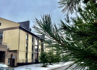 Продаю 1-комнатную квартиру, 40.8 м2, деревня Полесье