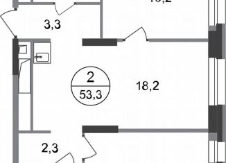 Продается 2-комнатная квартира, 53.3 м2, Московский, ЖК Первый Московский