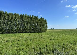 Продажа земельного участка, 9.5 сот., деревня Каипы