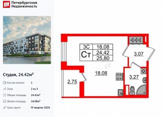 Продается квартира студия, 24.4 м2, Санкт-Петербург, метро Звёздная