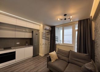 Сдача в аренду однокомнатной квартиры, 28.8 м2, Сочи, улица Тимирязева, 26, микрорайон Донская