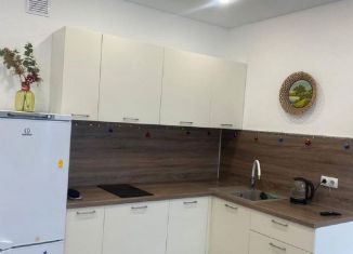 Сдается 1-ком. квартира, 35 м2, Тюмень, улица Павла Никольского, 6