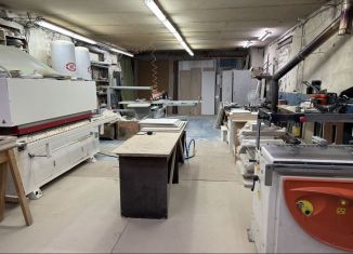 Сдается производство, 120 м2, Нижний Новгород, Бурнаковская улица, 3Д