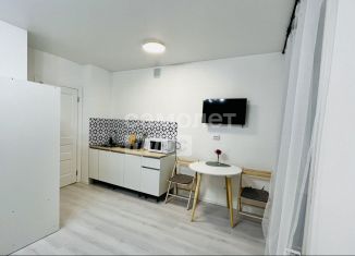 Сдаю в аренду квартиру студию, 24 м2, Северодвинск, улица Ломоносова, 79