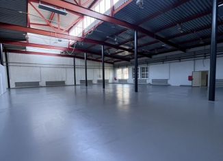 Сдаю производство, 1005 м2, Нижний Новгород, улица Баррикад, 1к5