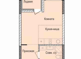 Продается квартира студия, 24.9 м2, Удмуртия, жилой комплекс Норвежский Лес, 20