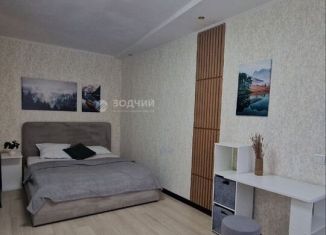 1-ком. квартира в аренду, 25 м2, Чебоксары, проспект Ленина, 49