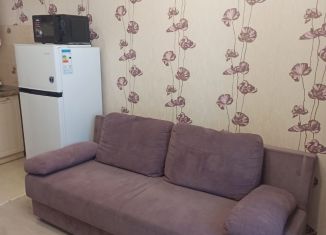 Сдаю квартиру студию, 20 м2, Новосибирск, улица Виктора Уса, 7