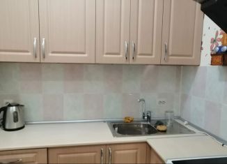 Сдается квартира студия, 24 м2, посёлок Шушары, Вилеровский переулок, 6