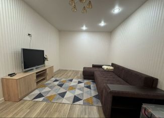 Сдаю в аренду однокомнатную квартиру, 54 м2, Тверь, улица Михаила Румянцева, 42