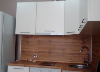 Сдаю квартиру студию, 32 м2, Сочи, Дагомысский переулок, 18, микрорайон Ареда