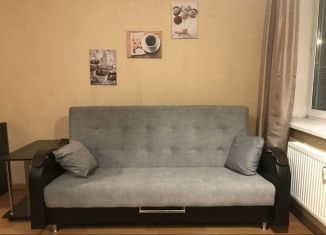 Сдам в аренду квартиру студию, 25.4 м2, посёлок Парголово, Толубеевский проезд, 24, ЖК Северная Долина