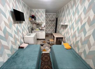 Сдаю квартиру студию, 15 м2, Тюмень, Севастопольская улица, 17, Ленинский округ