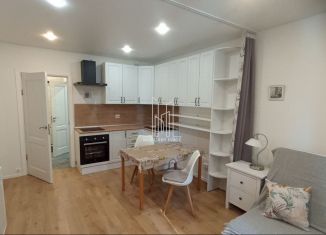 Сдаю в аренду квартиру студию, 30 м2, Мурино, Екатерининская улица, 6к2, ЖК Виктория