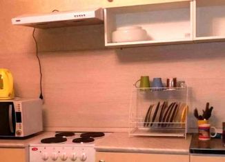 Квартира в аренду студия, 23 м2, посёлок Парголово, улица Валерия Гаврилина, 15, ЖК Северная Долина