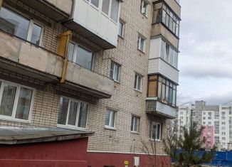 Продажа 1-комнатной квартиры, 28.9 м2, Кстово, Зелёная улица, 10Б