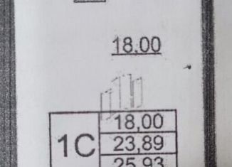 Продаю квартиру студию, 25.9 м2, Санкт-Петербург, метро Проспект Большевиков, Дальневосточный проспект, 23