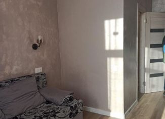 Аренда квартиры студии, 30 м2, деревня Бородино, Варшавское шоссе, 79, ЖК Европа