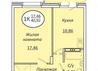 Продам 1-комнатную квартиру, 40.9 м2, Новосибирская область