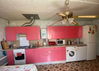 Продается дом, 108 м2, село Новый, улица Мира