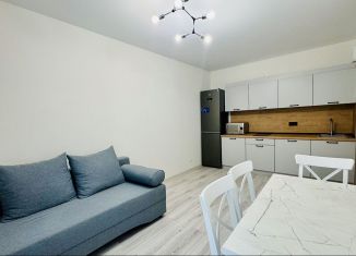 Сдам 2-комнатную квартиру, 50 м2, Краснодар, Скандинавская улица, 1к12