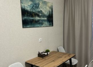 Однокомнатная квартира в аренду, 43.5 м2, Арзамас, улица Жуковского, 9Б