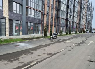 Сдаю помещение свободного назначения, 56 м2, Краснодар, Штурвальная улица, 8, микрорайон Образцово