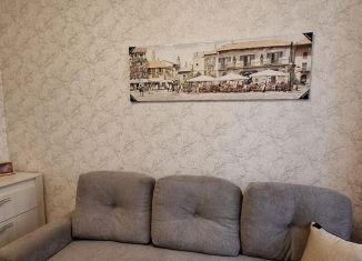 Продам квартиру студию, 23 м2, Светлогорск, Яблоневая улица, 18А