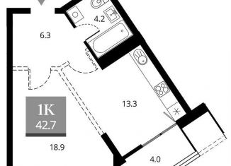 Продажа 1-ком. квартиры, 42.7 м2, Новосибирск, Железнодорожный район, Прибрежная улица, 4/2