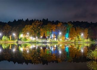 Продаю квартиру студию, 26.5 м2, Светлогорск