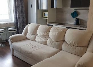 Квартира в аренду студия, 28 м2, Екатеринбург, улица Академика Парина, 43
