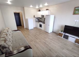 Продам квартиру студию, 31 м2, село Михайловка, Сливовая улица, 10