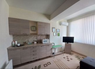 Продам квартиру студию, 20 м2, село Раздольное, Прямая улица, 14