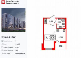 Продажа квартиры студии, 24.3 м2, Санкт-Петербург, метро Проспект Просвещения