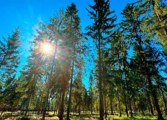 Земельный участок на продажу, 9.1 сот., деревня Лыткино