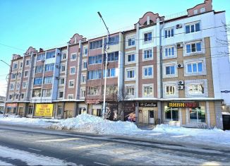 Продажа помещения свободного назначения, 208.2 м2, Биробиджан, улица Шолом-Алейхема, 83