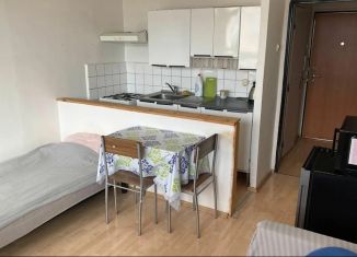 Продажа квартиры студии, 19 м2, Санкт-Петербург, Казанская улица, 9, метро Сенная площадь