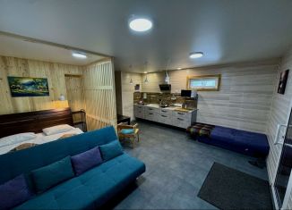 Сдам в аренду таунхаус, 35 м2, Кемеровская область