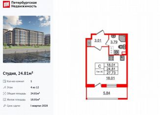 Продаю квартиру студию, 24.8 м2, Санкт-Петербург, муниципальный округ Невский