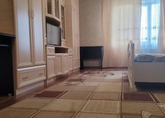 Сдается 1-ком. квартира, 50 м2, Кингисепп, Крикковское шоссе, 20