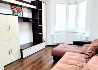 Аренда однокомнатной квартиры, 39 м2, Санкт-Петербург, проспект Ветеранов, 171к2, Красносельский район