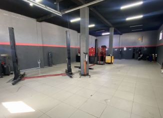 Помещение свободного назначения в аренду, 180 м2, Севастополь, улица Амет-Хана Султана, 3