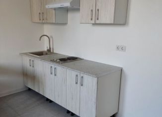 Продается квартира студия, 25.5 м2, Пушкино, улица Просвещения, 10к2