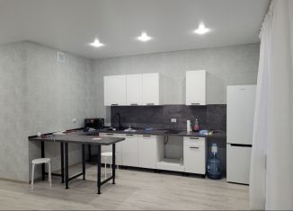 Сдам в аренду квартиру студию, 40 м2, Тюмень, улица Мельникайте, 2к19, ЖК Горизонт