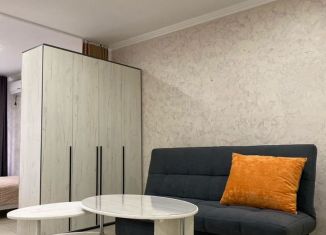 Сдам квартиру студию, 60 м2, Майкоп, улица 3-го Интернационала, 111/1