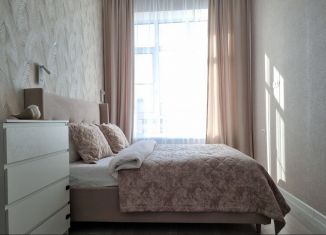 Сдаю в аренду 1-ком. квартиру, 45 м2, городской посёлок Новоселье, Невская улица, 11/1
