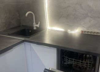 Сдается 2-ком. квартира, 66 м2, Санкт-Петербург, Стародеревенская улица, 21к1