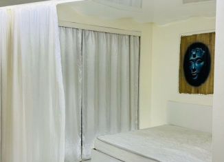 Аренда коттеджа, 65 м2, Ленинградская область, деревня Ольгино, 6