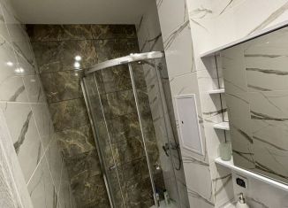 Сдаю в аренду 1-ком. квартиру, 28 м2, Орёл, Карачевская улица, 12/3, Заводской район